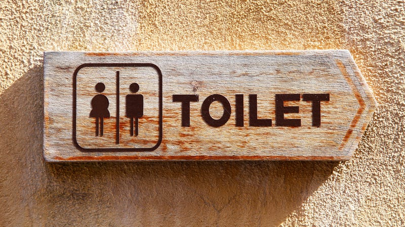 Illustration for article titled The Bum in the Unlocked Bathroom: How Bad User Interfaces are Ruining Bathrooms, Buses, Video Games and Other Wonderful Things