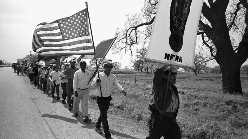 Illustration for article titled Famous Boycotts In U.S. History