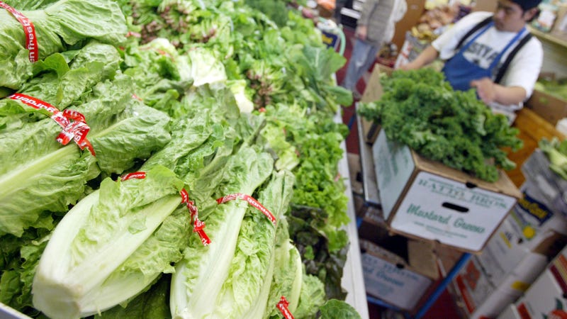 CDC: Throw Your Romaine Lettuce in the Trash Right Now