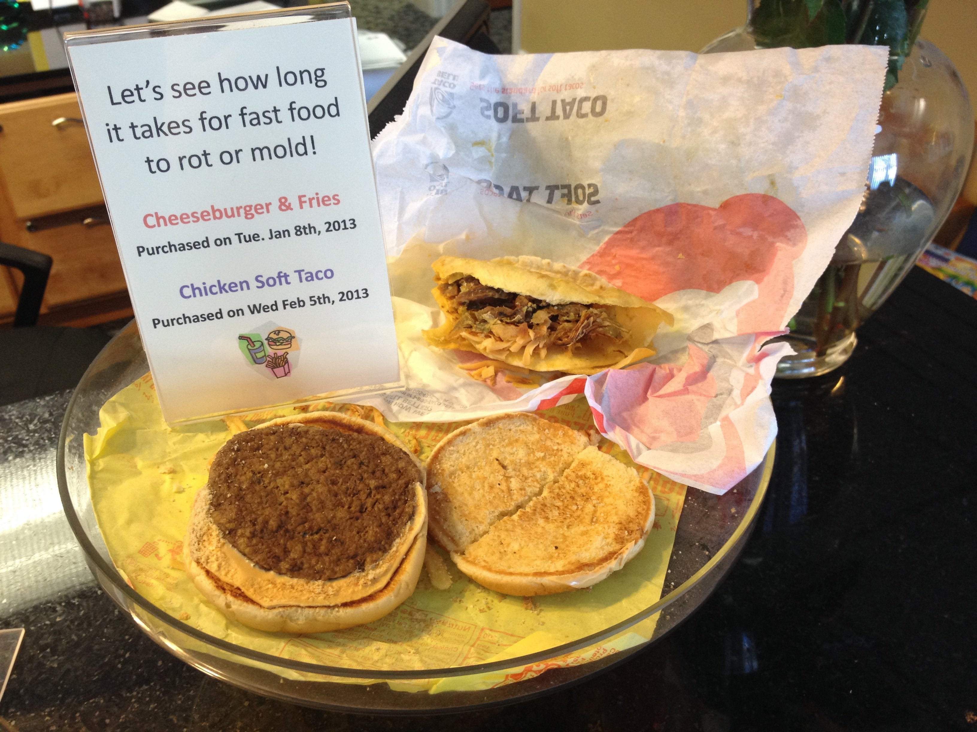 The Terrifying Resilience Of Fast Food That Refuses To Decompose