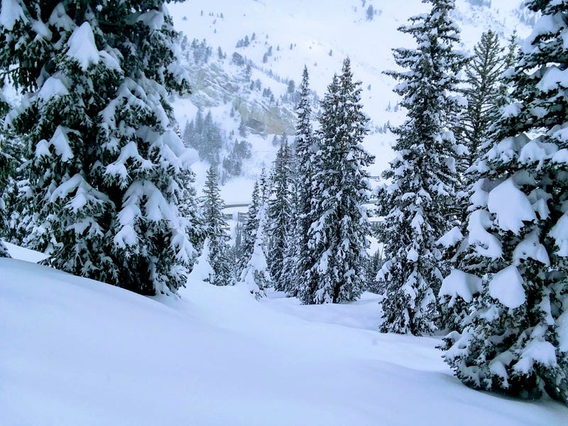 Illustration for article titled '18/'19 Ski Blog (Post #7) -Â Solitude and Alta, UT