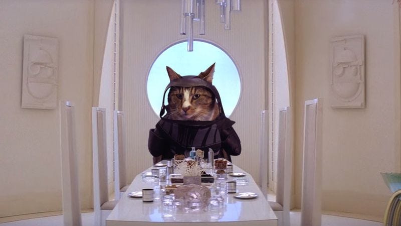 Illustration for article titled What if the juiciest roles in movie history had been played by a bored cat?