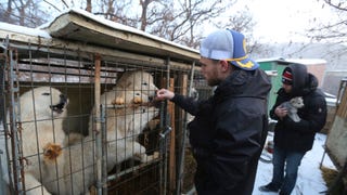 Gus Kenworthy Rescued a Puppy at the Olympics Again, This Time From a Dog Meat Farm