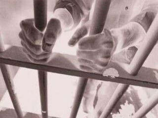 Illustration for article titled What Will Future Generations Condemn Us For?