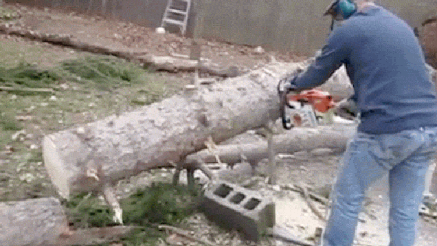 Magic tree logs