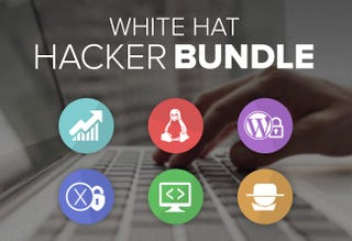 Illustration for article titled Learn How To Be A Hacker For $49