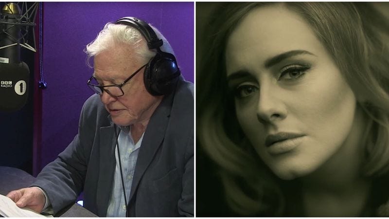 Illustration for article titled David Attenborough turned Adele’s “Hello” into a nature documentary