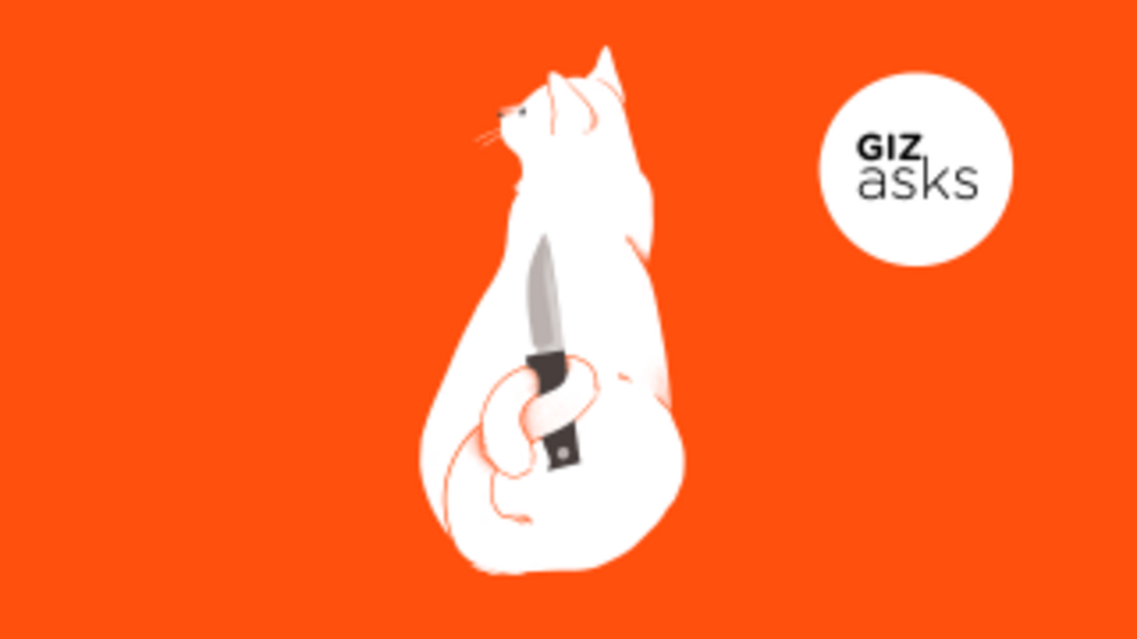 هل قطتك تكرهك حقا