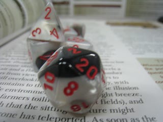 Illustration for article titled Did Dungeons & Dragons Motivate Dr. Amy Bishop's Murder Spree?
