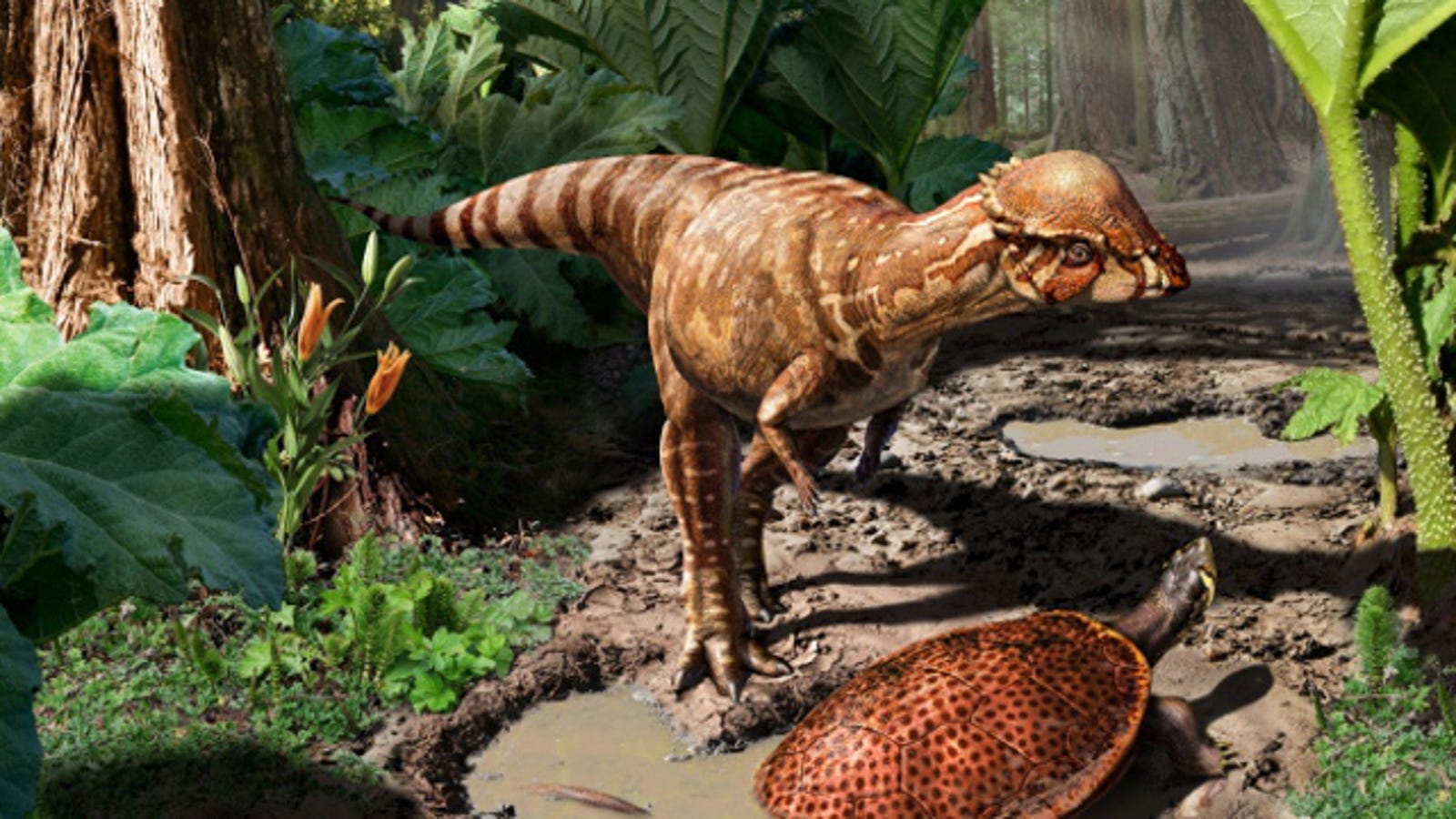 two legged herbivore dinosaur