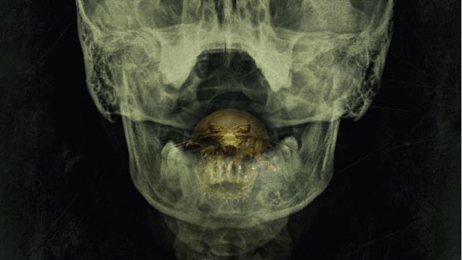 The Bay Is A Grotesque, Giant TongueEating Parasite Tease