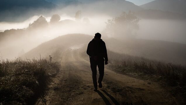 3 contrarian actions for CEOs while others play it safe 3 contrarian actions for CEOs while others play it safe