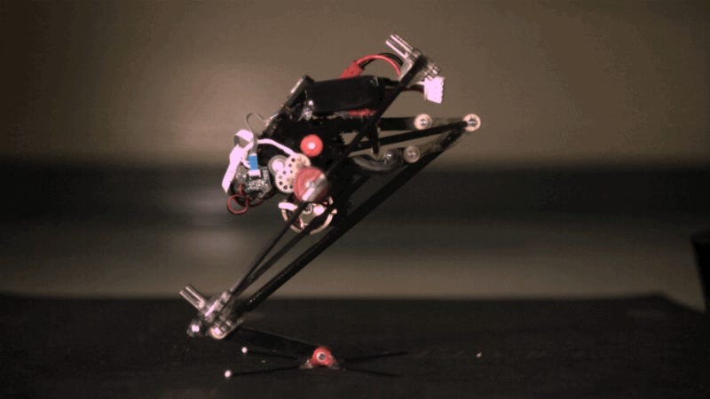 photo of This Adorable Robot Can Do Parkour Way Better Than You image