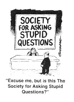 Illustration for article titled I have a stupid question