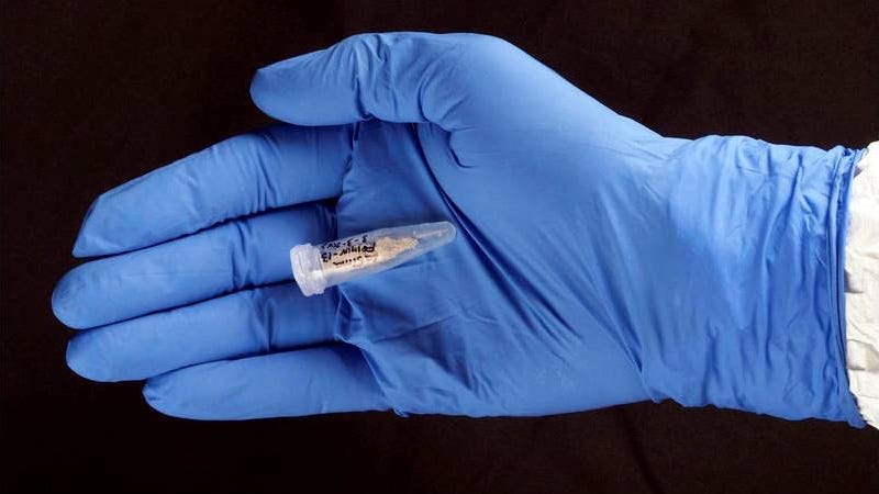 El ADN humano más antiguo del mundo revela que el hombre de Atapuerca era neandertal