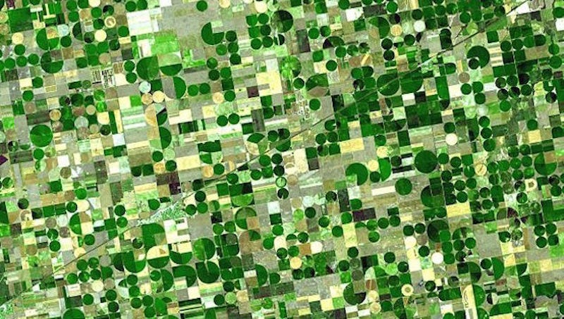 most-valuable-crops-grown-in-oklahoma