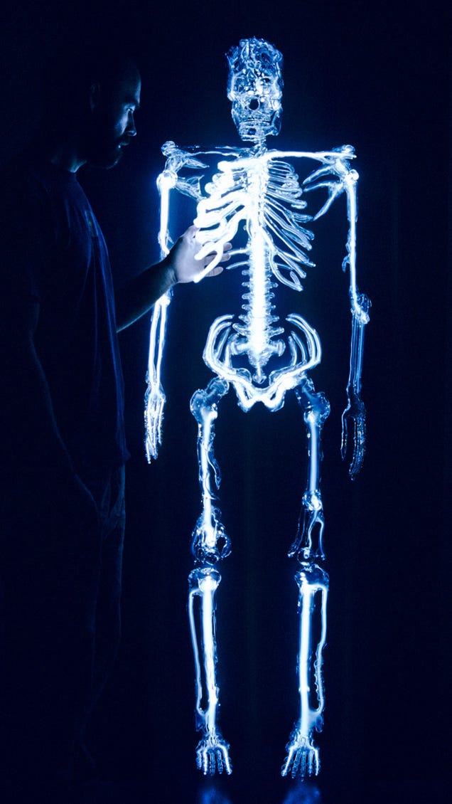 This life-size glass skeleton is illuminated by krypton