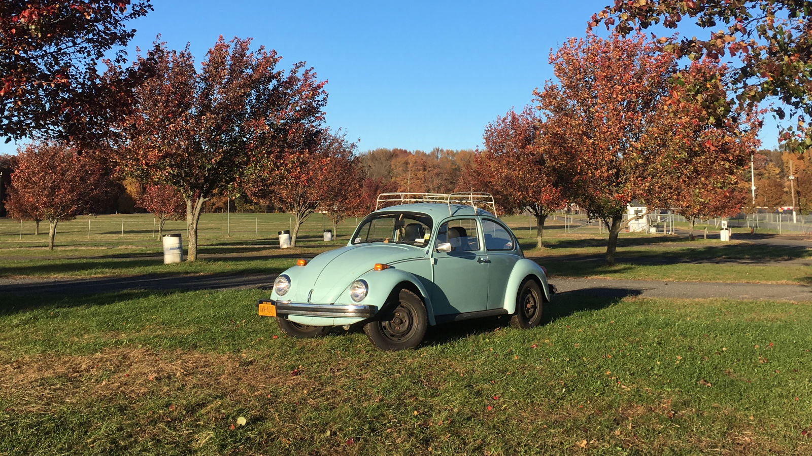 The Best Thing You Can Do for Your Old Car Is Drive It