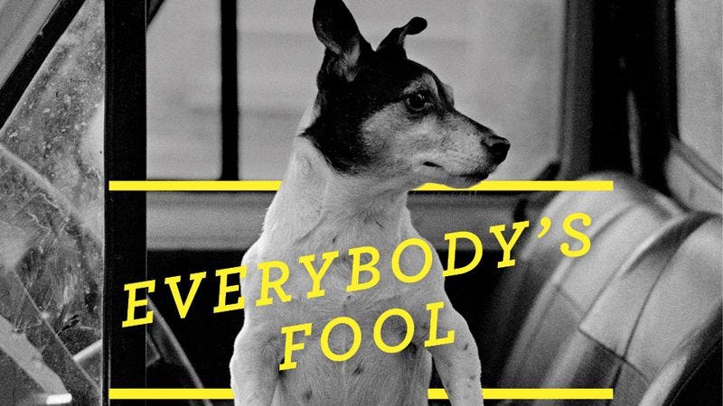 Illustration for article titled Everybody’s Fool is a sequel that never justifies its own existence