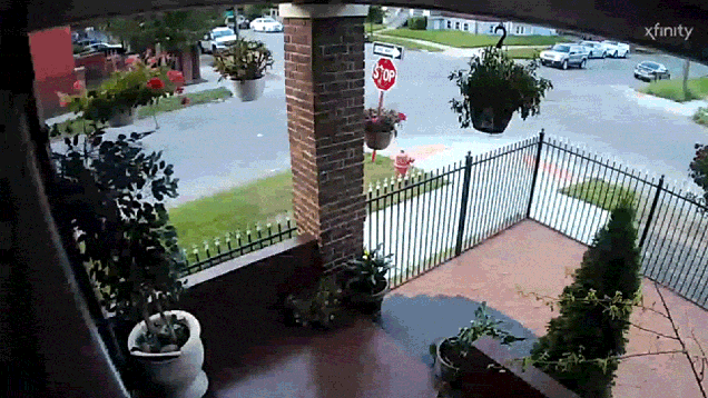 ei9nqhbg68jn1r9kgz9i.gif