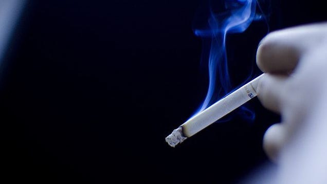 How Can I Get the Smoke Smell Out of Things?