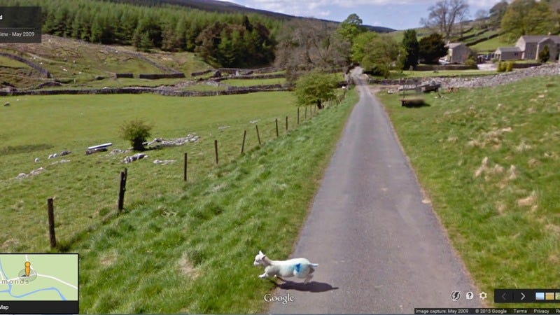 Illustration for article titled Reach your livestock quota with Google Sheep View