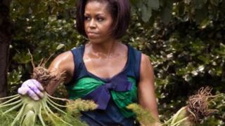 First Lady Michelle Obama (Paul J. Richards/AFP/Getty)