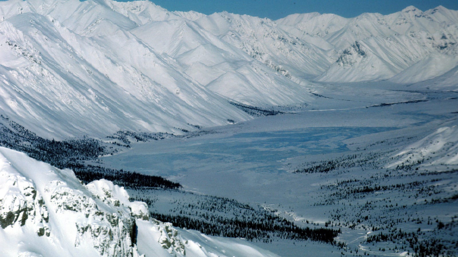 Investors Worth $2.5 Trillion Don’t Want Drilling in the Arctic National Wildlife Refuge