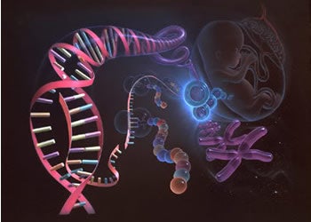 Illustration for article titled Tinkercell Takes The Mess Out've Genetic Tinkering