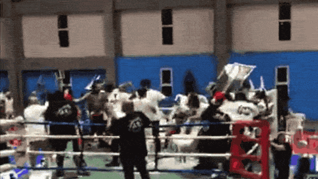 bemilzzp79r35o1rsgvm.gif