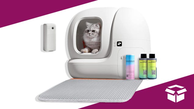 This Smart Self-Cleaning Cat Litter Box for $200 off Will Save You a Lot of Hassle