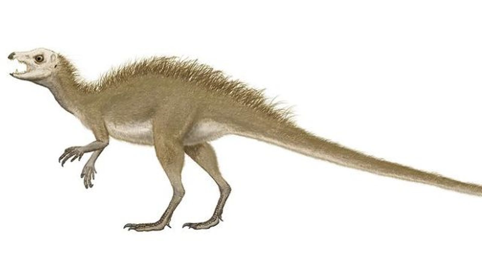 100 tiny dinosaurs