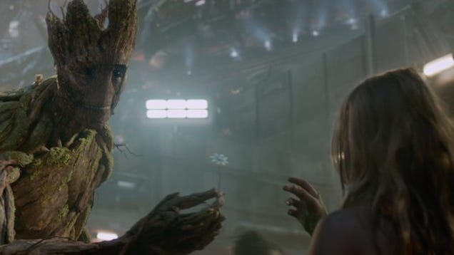 What Real-Life Plants Could Groot Have Evolved From?