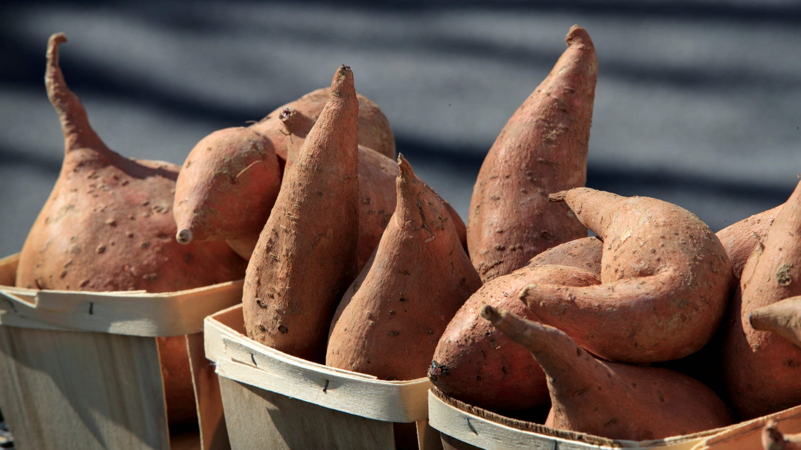 Sweet Potato DNA Challenges Theory That Polynesians Beat Columbus to America