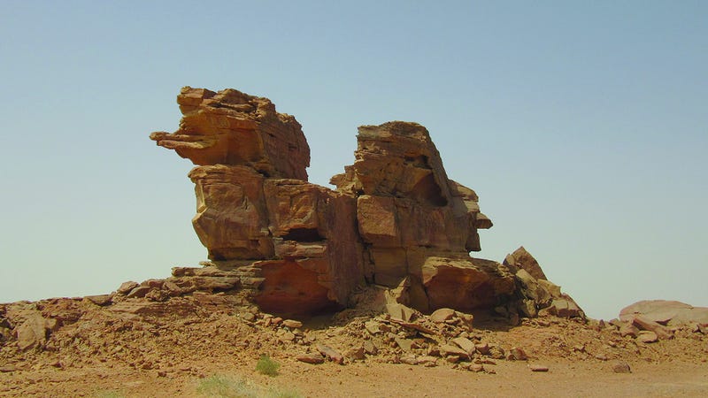 photo of Amazing Life-Sized Sculptures of Camels and Horses Discovered in Saudi Arabia image