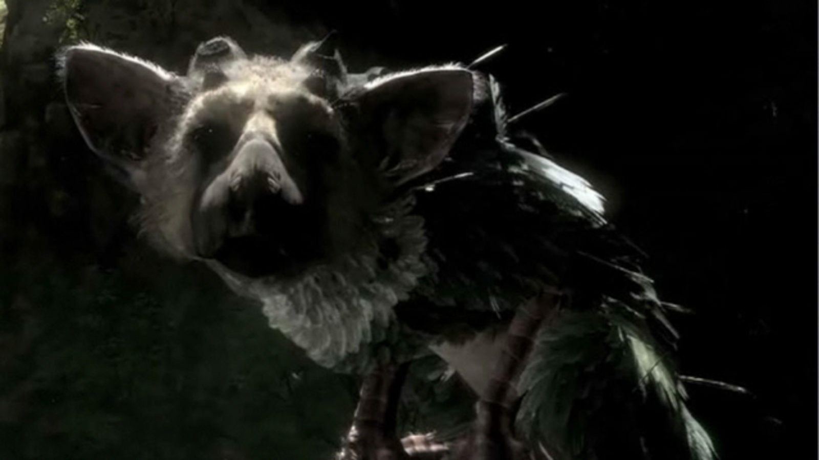 the last guardian coming to pc