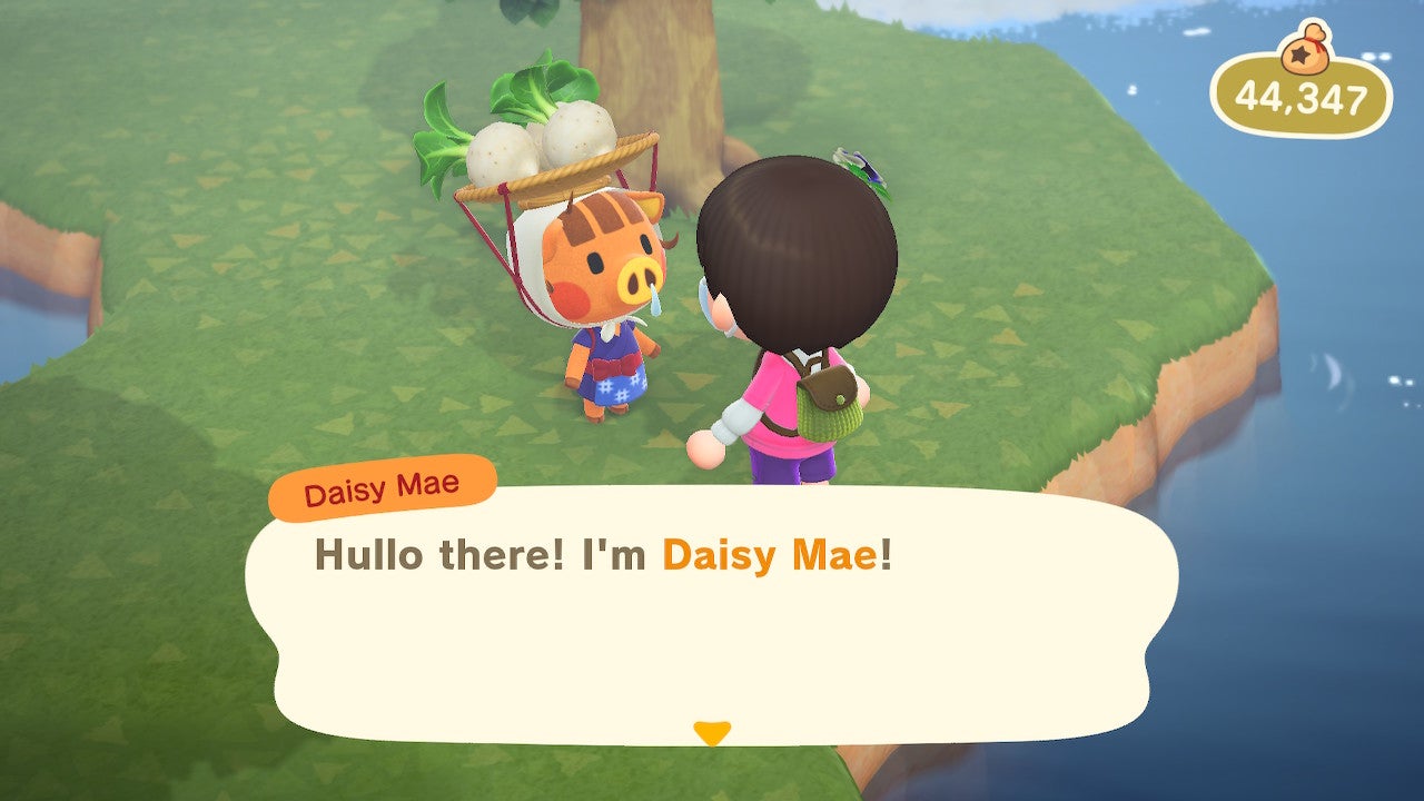 Animal Crossing: New Horizons: What Price Are Your Turnips?