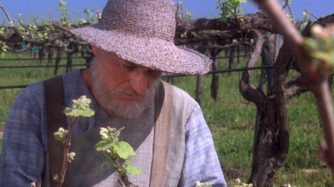 The New Star Trek&nbsp;Show Is A Chance To Last Jedi&nbsp;the Hell Out Of Captain Picard