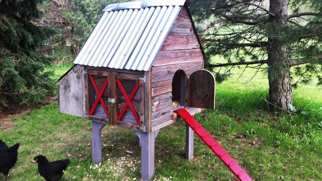 Build A Chicken Coop For Your Free Range Flock ...