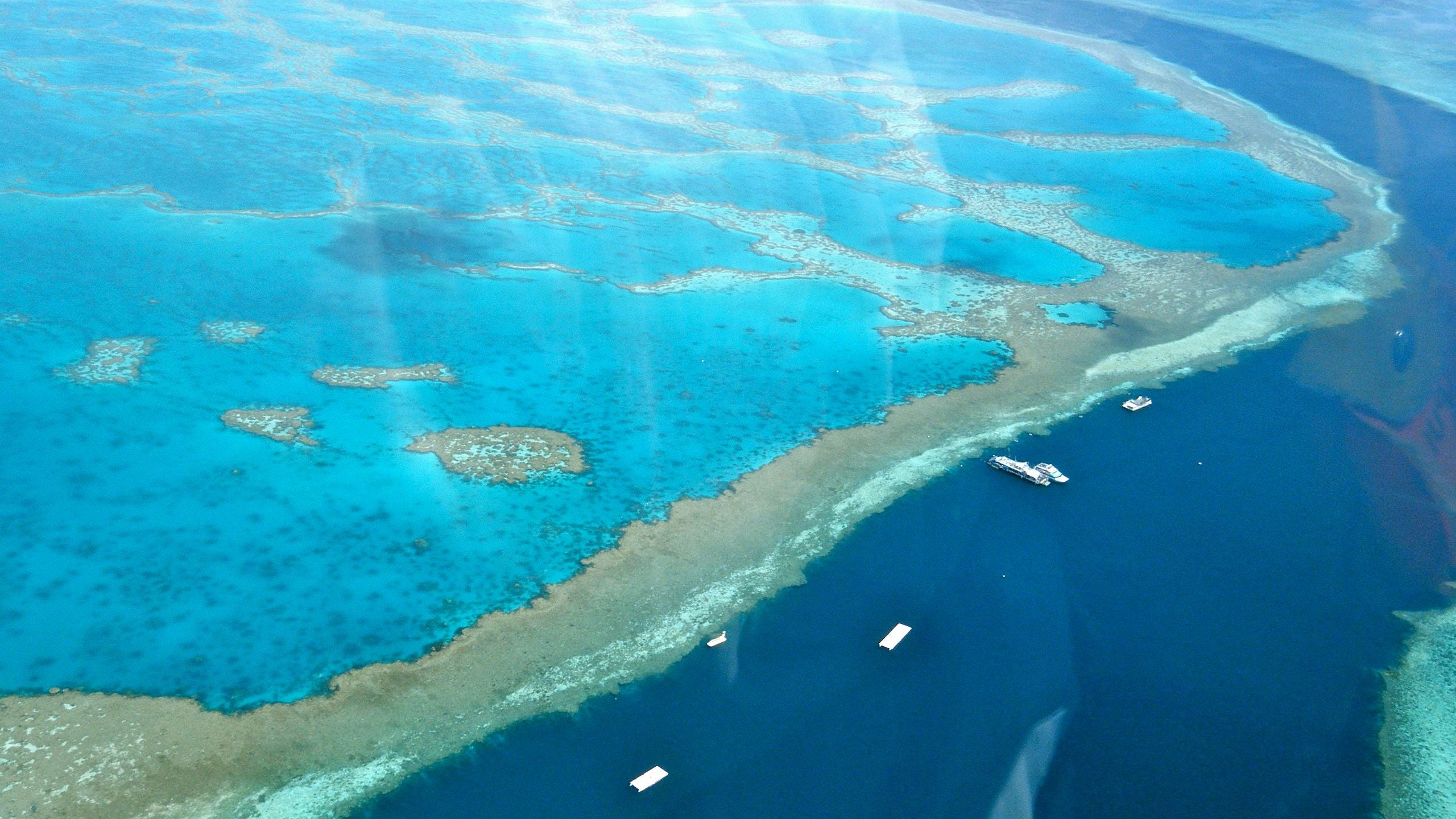 australia-s-great-barrier-reef-has-been-valued-at-a-whopping-56