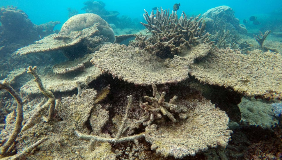 great barrier reef destruction mining bitcoins