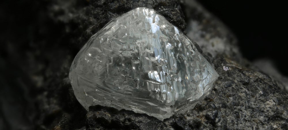 An Obscure African Plant Tells Miners Where To Look For Diamonds ...