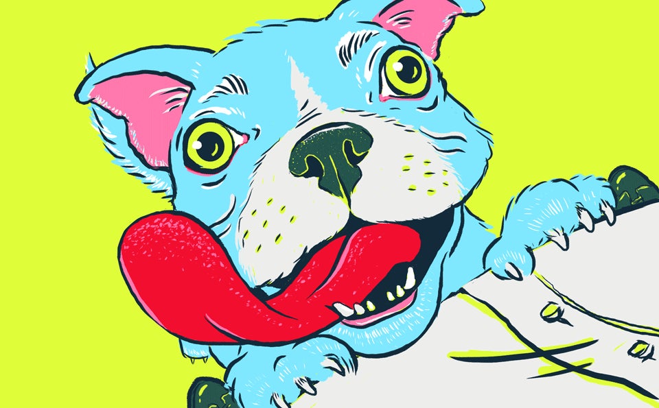 why-are-dogs-so-insanely-happy-to-see-us-when-we-get-home-gizmodo