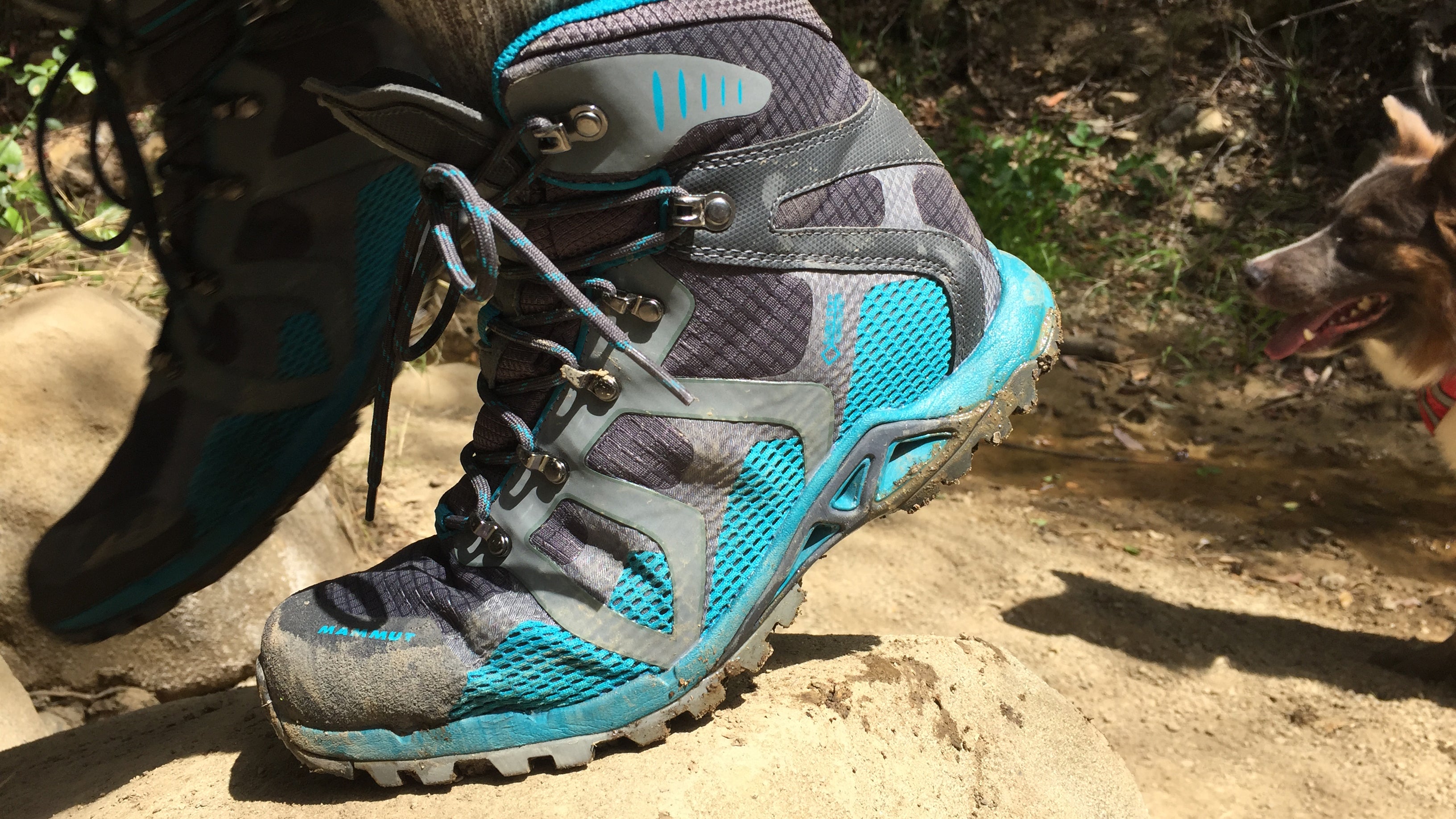 high ankle trekking shoes