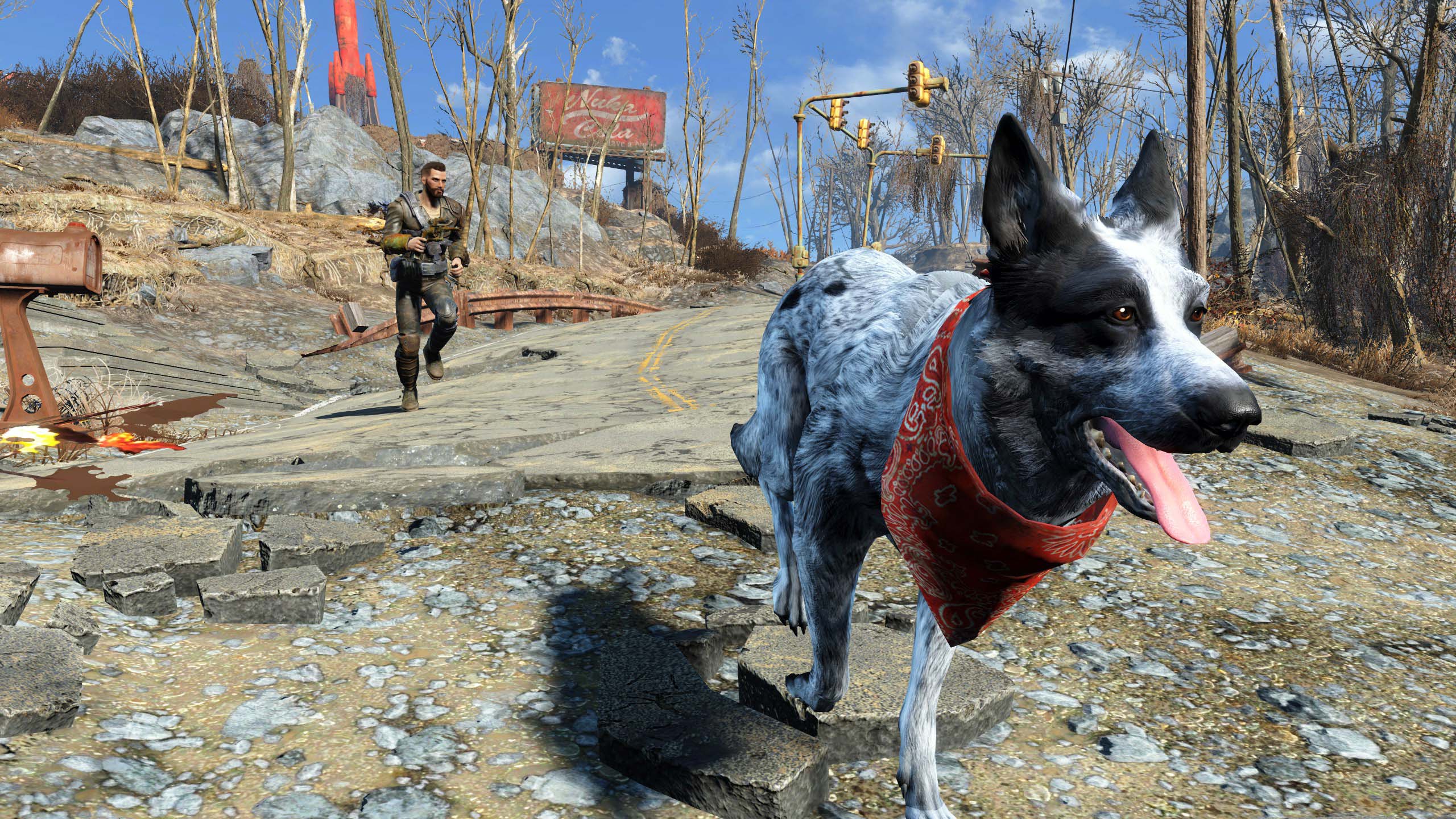 rename dog fallout 4