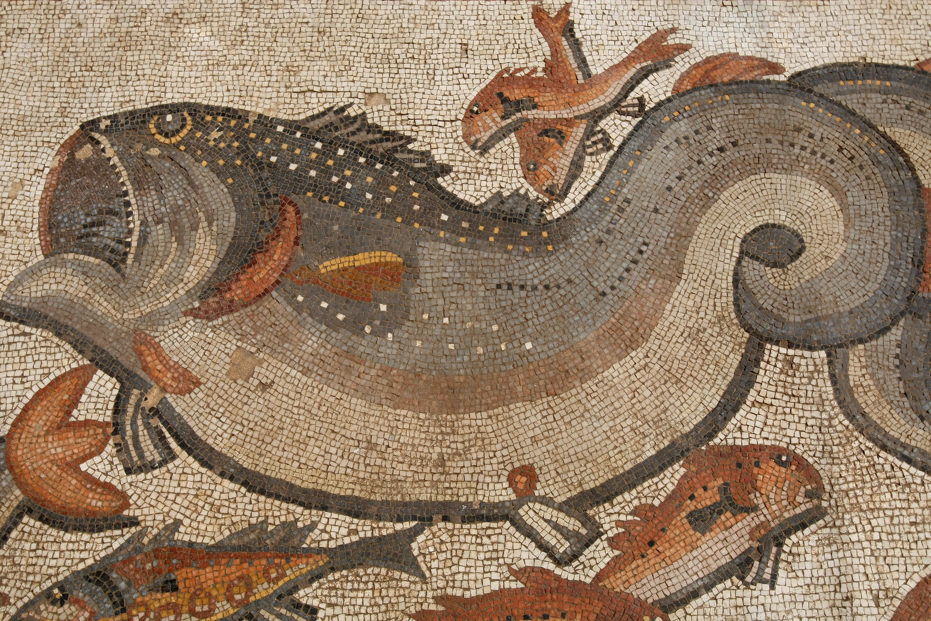 These Huge Roman Mosaics Were Hidden Under City Streets For 1700 Years   1522068818423334693 