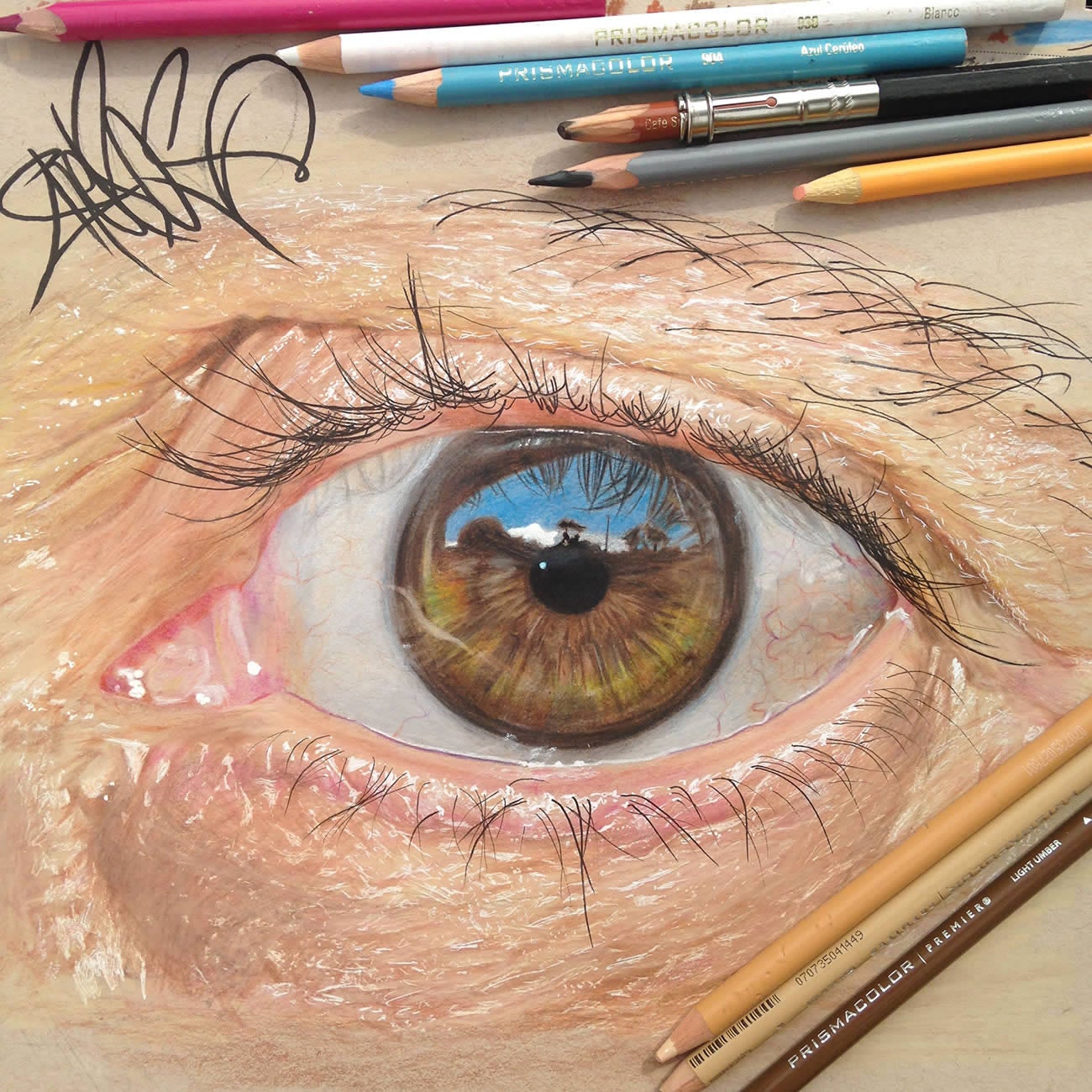 These Incredible Closeup Photos Of Eyes Are Actually Pencil Drawings