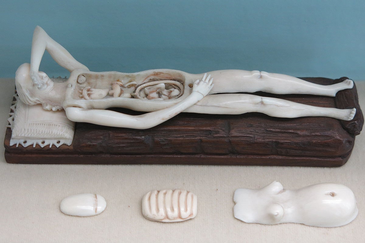 29 Anatomical Models That Will Haunt Your Dreams Tonight