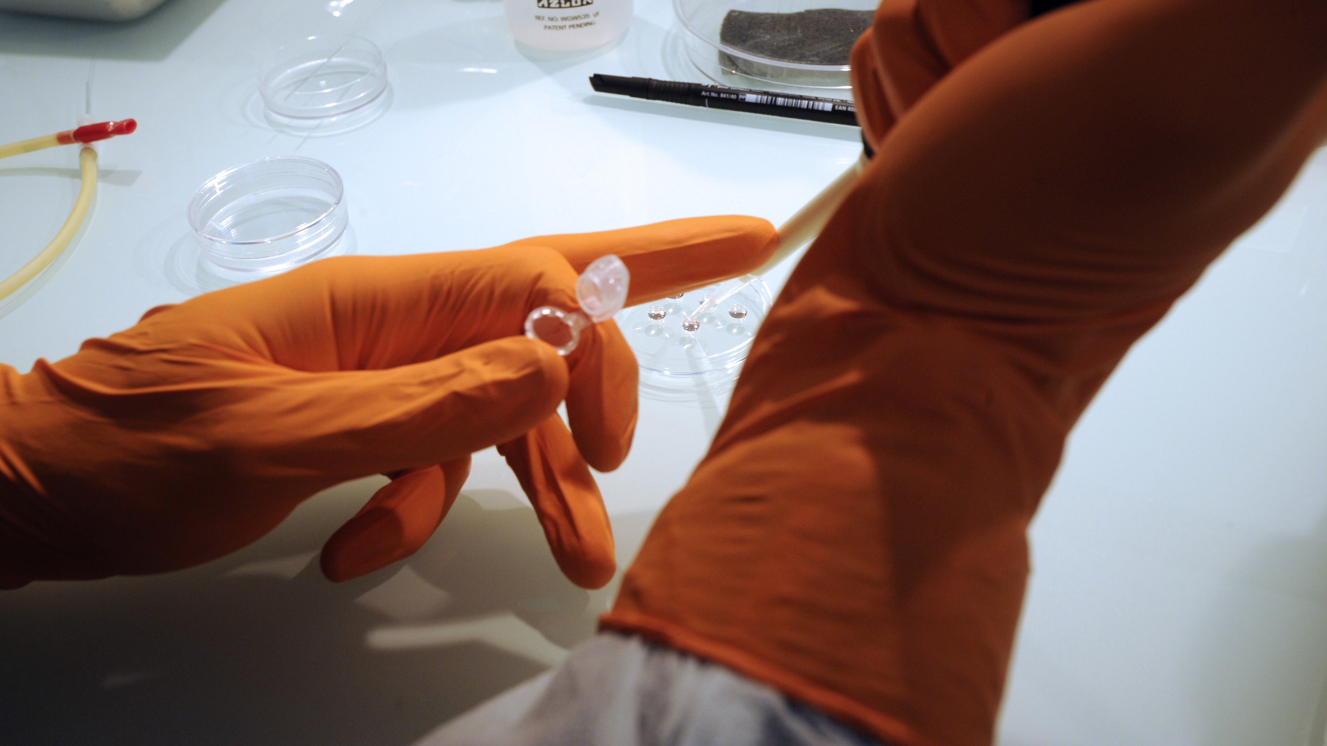 Shady Stem Cell Clinics Are Peddling ‘Immune-Boosting’ Covid-19 Treatments