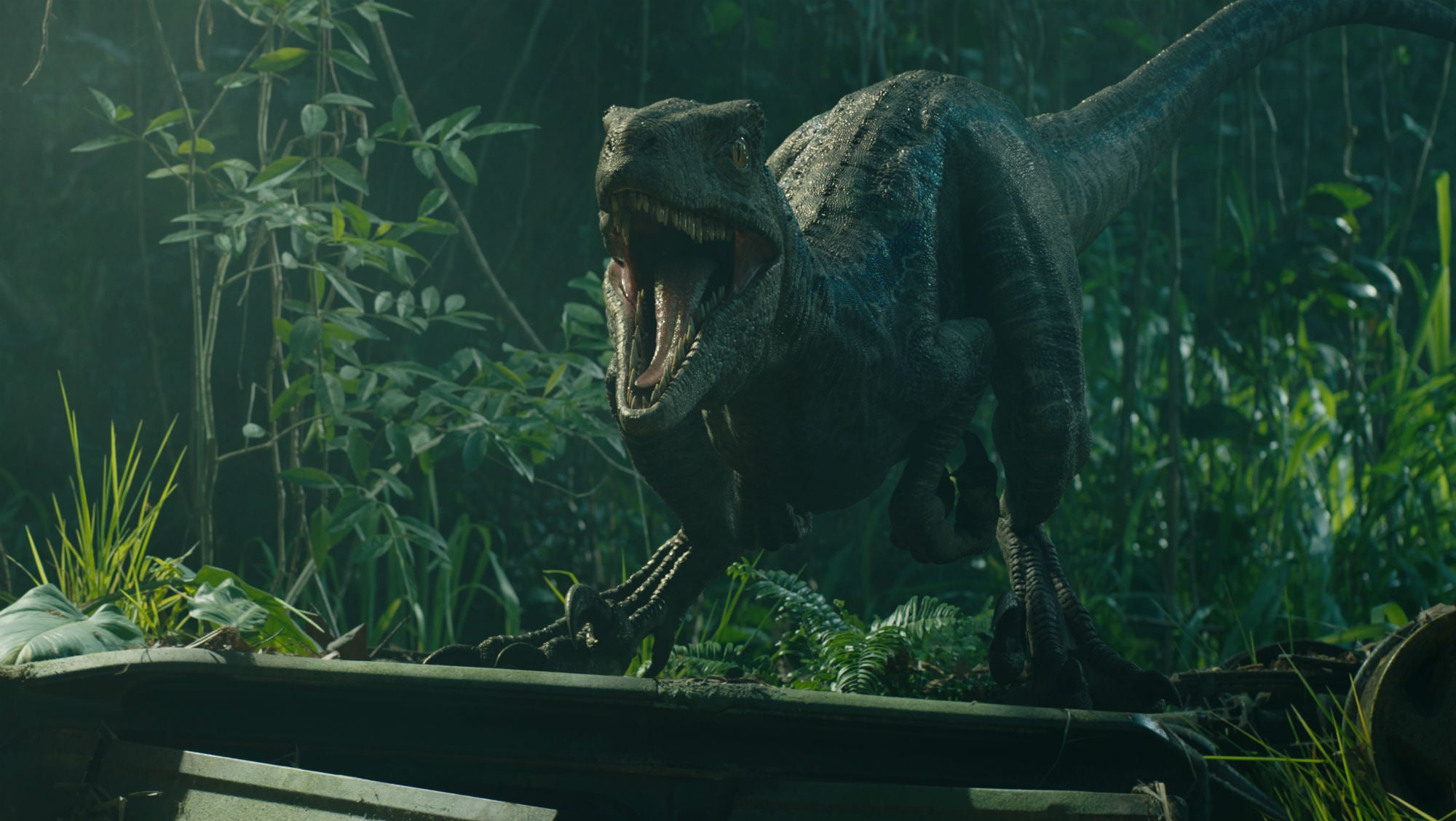 The Makers Of Jurassic World Fallen Kingdom Solve Some Of The